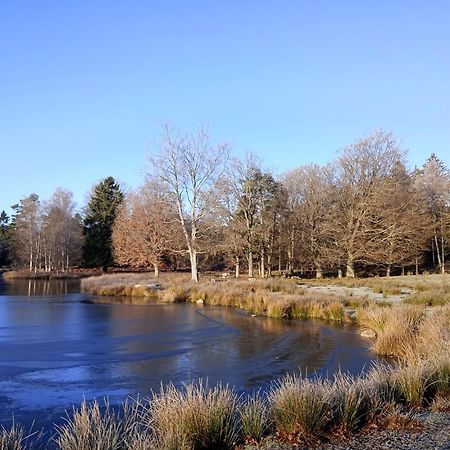 Damwildfarm In Rollerbue Suedschweden Villa Tyringe Dış mekan fotoğraf