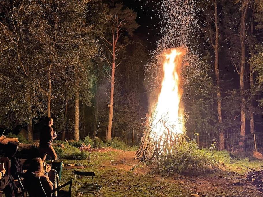 Damwildfarm In Rollerbue Suedschweden Villa Tyringe Dış mekan fotoğraf