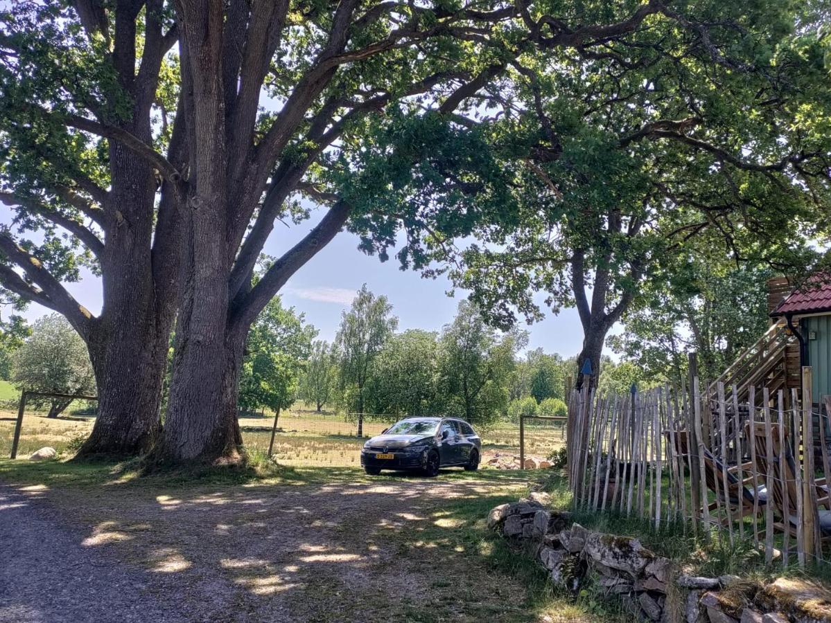 Damwildfarm In Rollerbue Suedschweden Villa Tyringe Dış mekan fotoğraf
