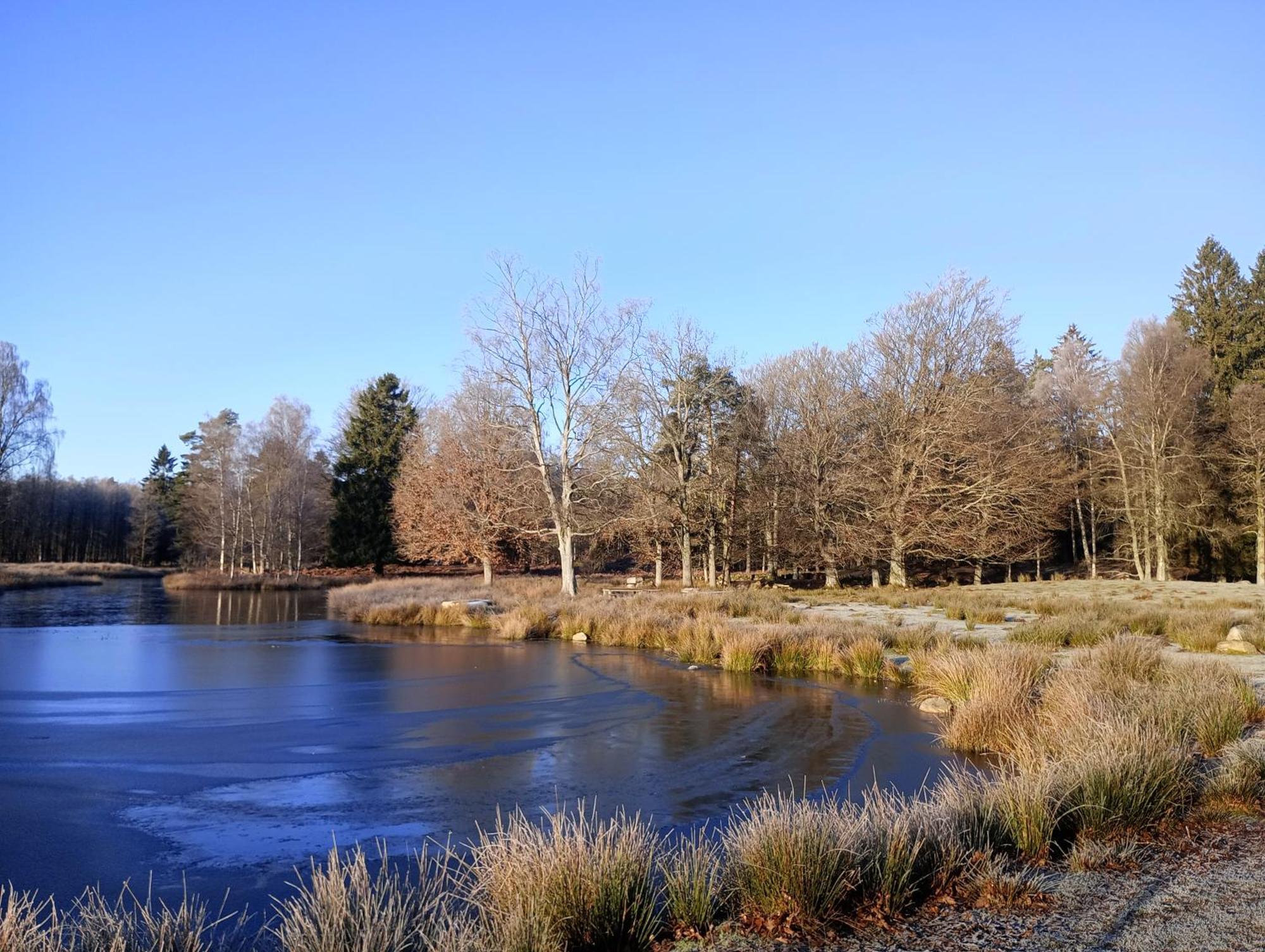 Damwildfarm In Rollerbue Suedschweden Villa Tyringe Dış mekan fotoğraf
